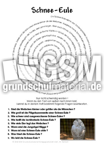 Schnee-Eule.pdf